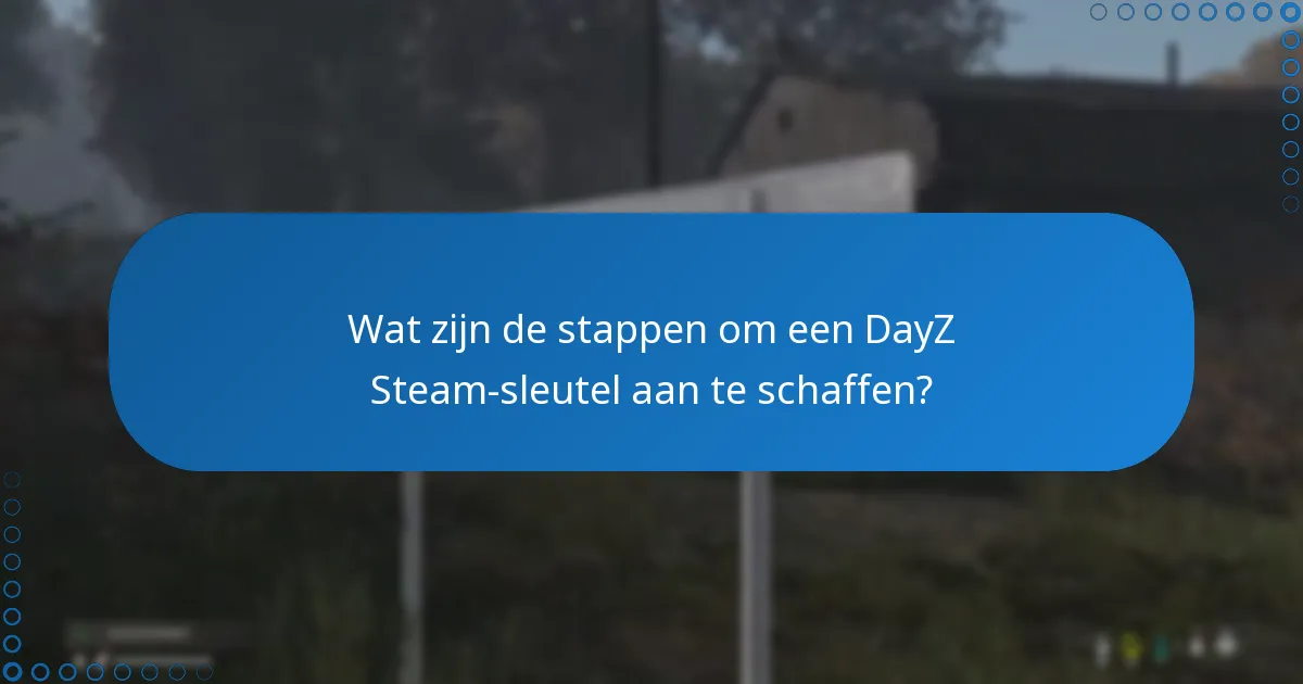 Wat zijn de risico’s verbonden aan het kopen van een DayZ Steam-sleutel?